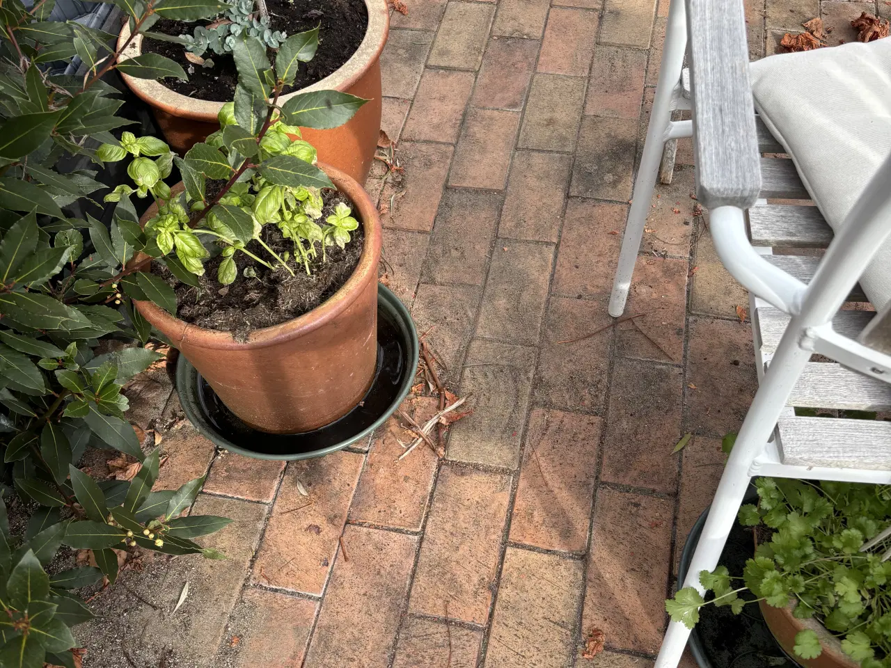 Billede 2 - Røde teglklinker