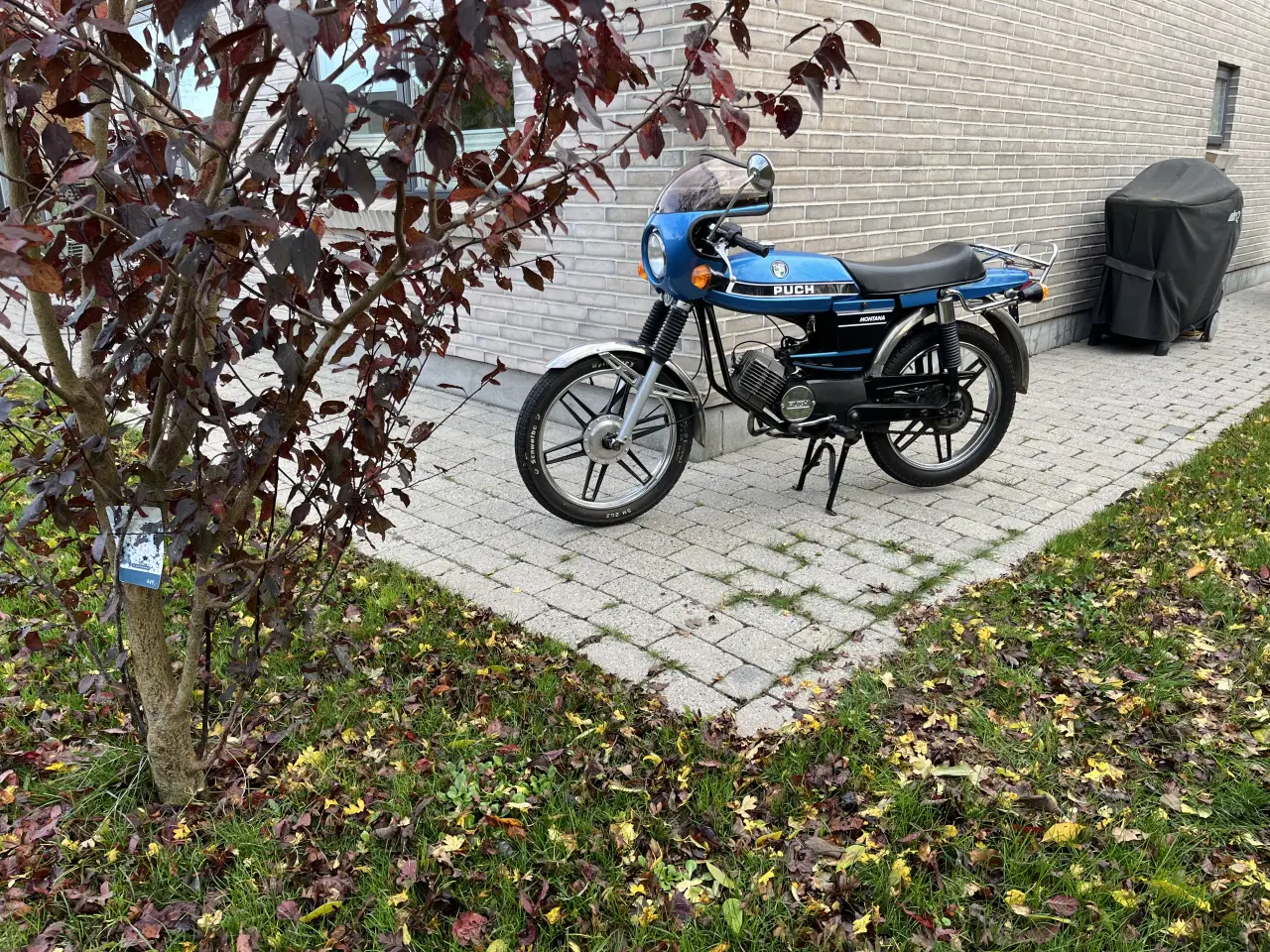 Billede 6 - Veteran Puch Monza