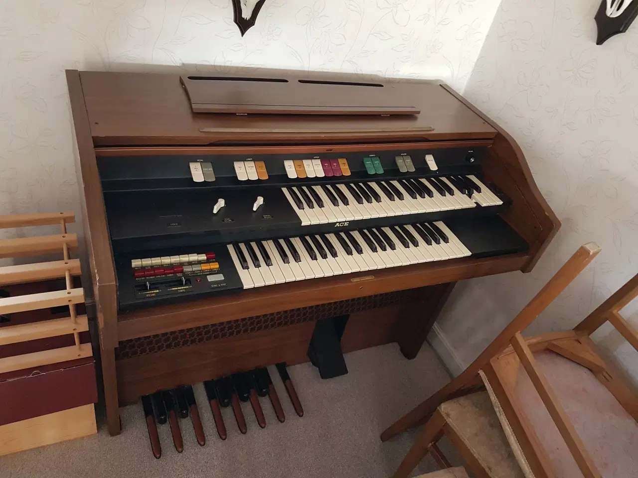 Billede 2 - ACE orgel