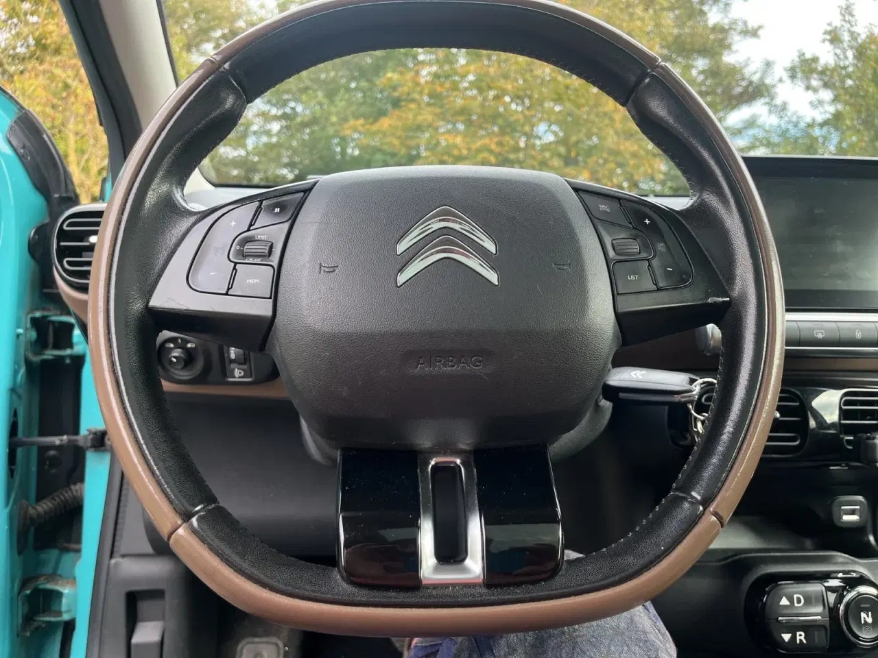 Billede 10 - Citroën C4 Cactus 1,6 BlueHDi 100 Shine ETG6 Van