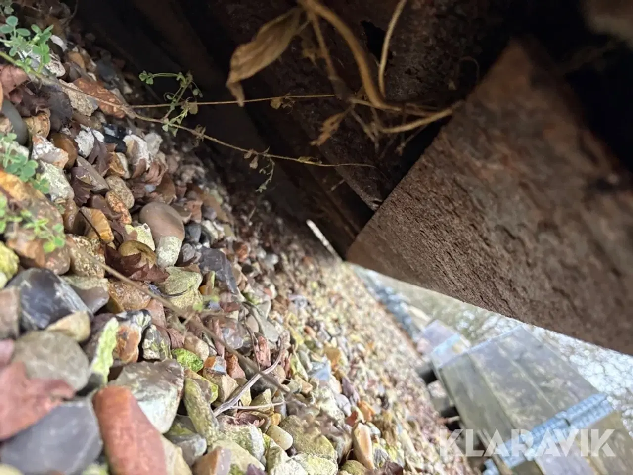 Billede 10 - Container