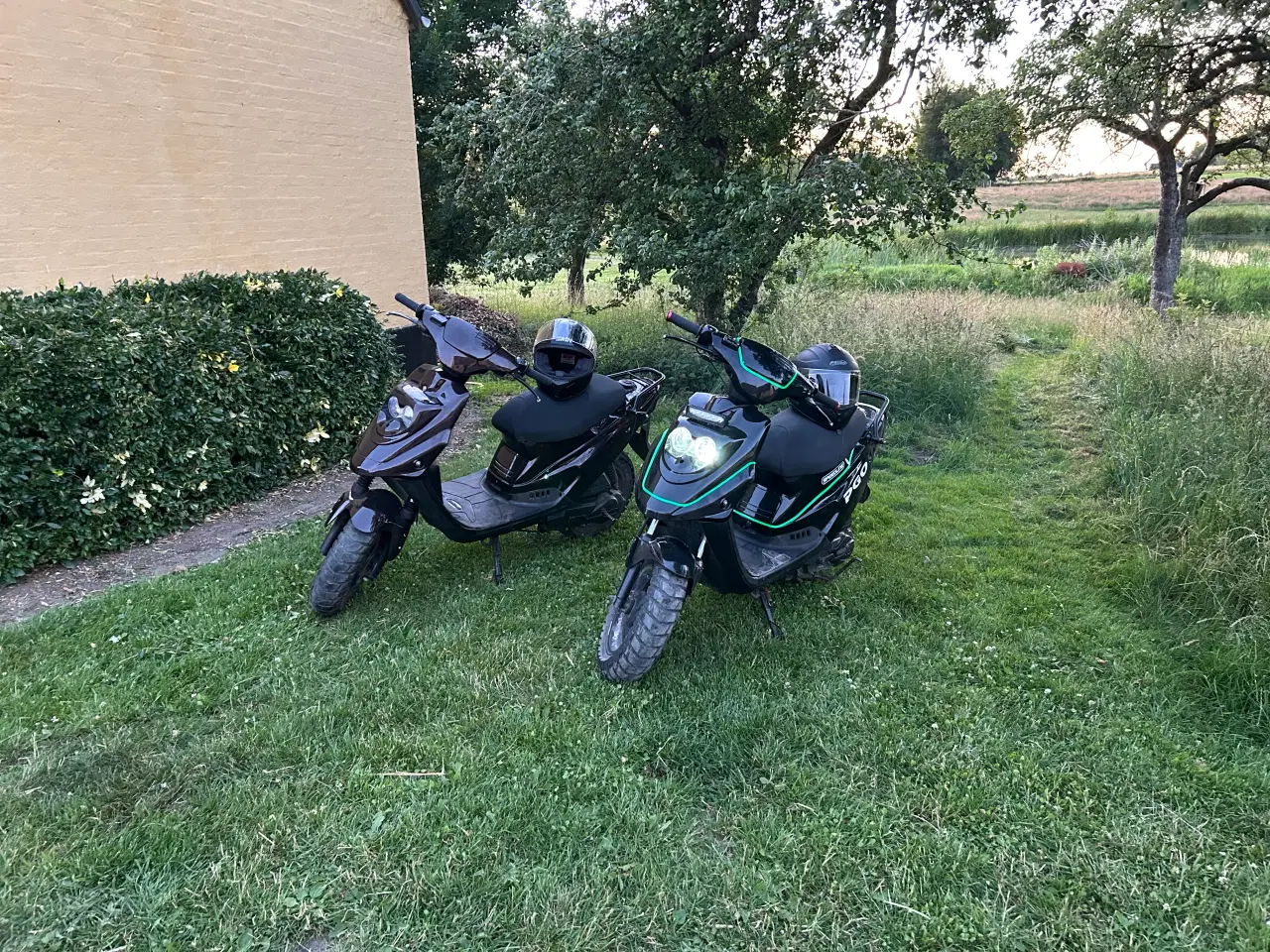 Billede 6 - Pgo hot 50 sp
