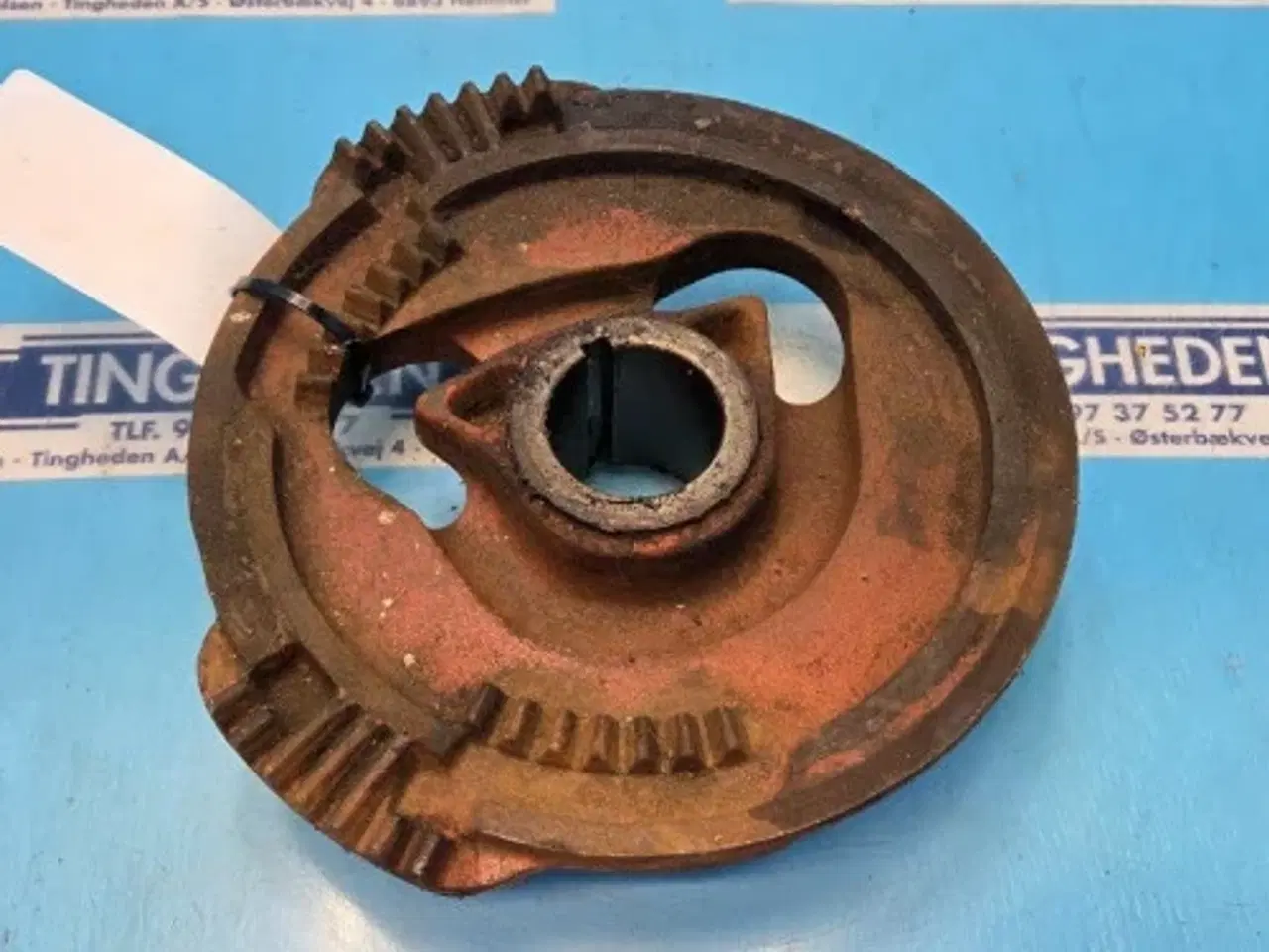 Billede 4 - Hesston 4700 Kamskive 700100868