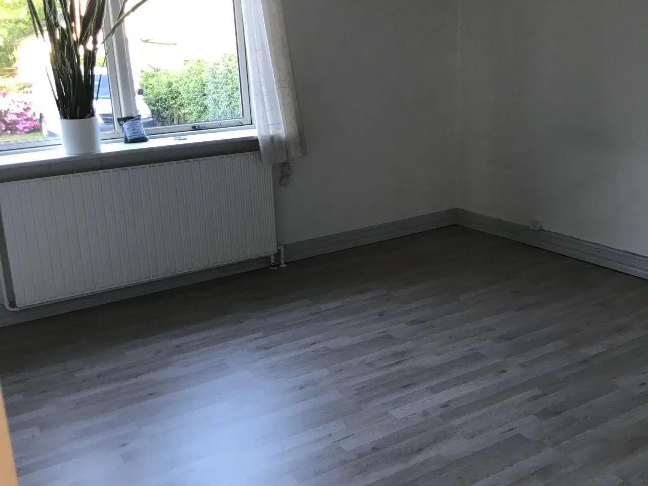 Billede 3 - Udlejes