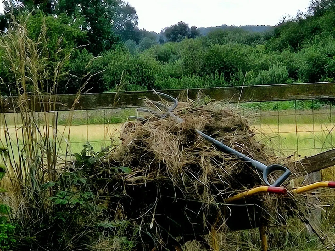 Billede 5 - Sommerhus/helårs bolig ved Bandholm.