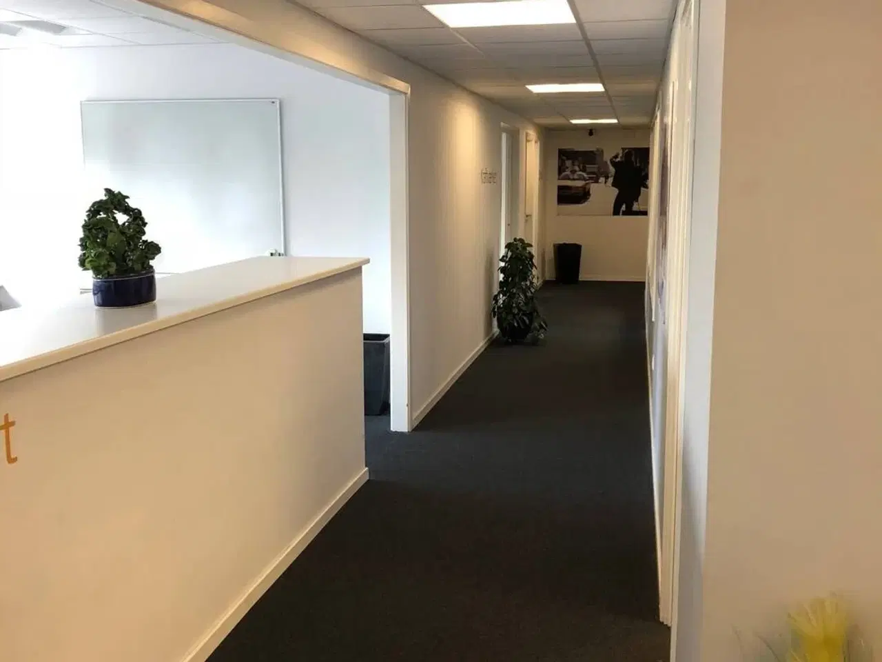 Billede 2 - Attraktivt erhvervslejemål – 826 m² kontorer og tilhørende lager