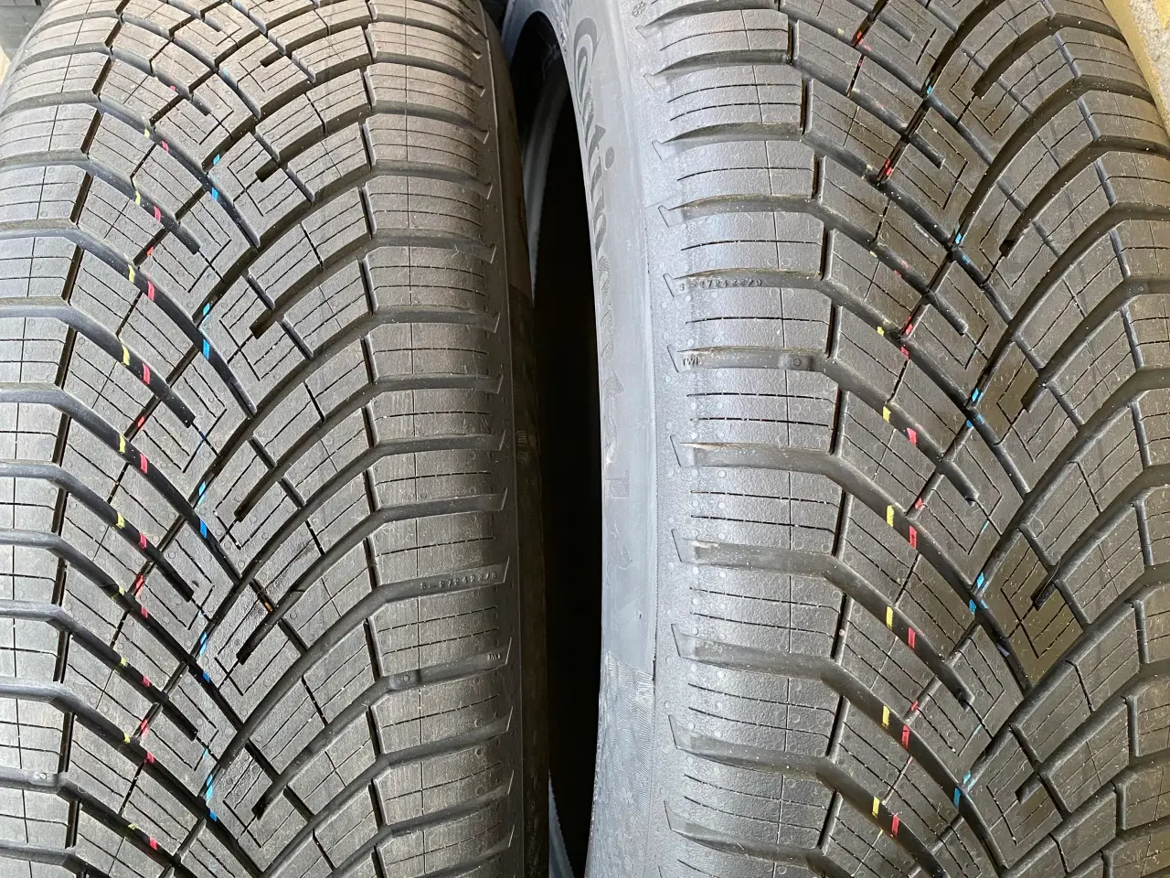 Billede 4 - 20” ID Buzz Helårs Continental 