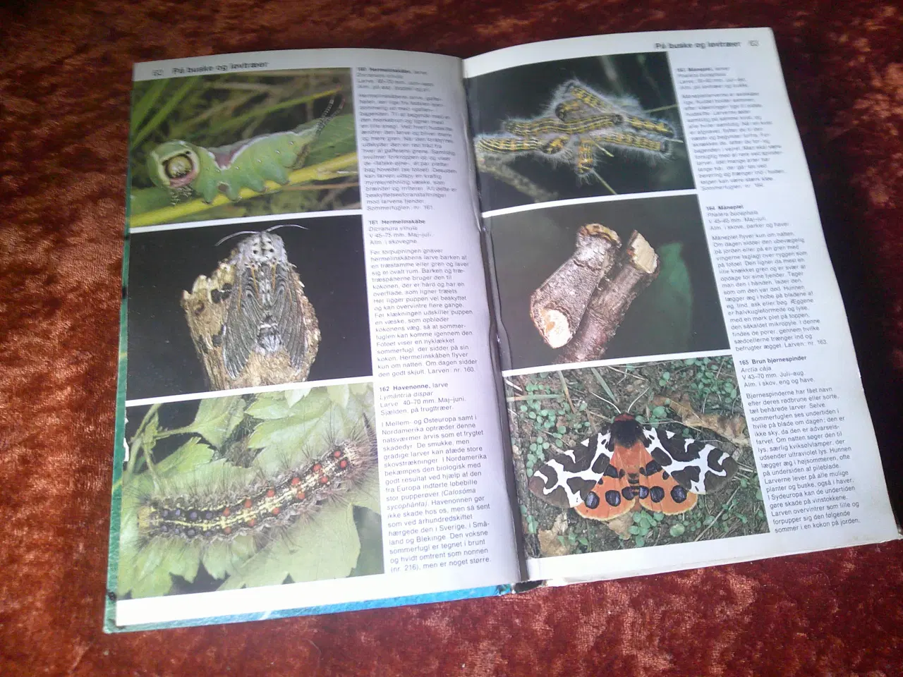 Billede 3 - Småkræ, Åke Sandhall,