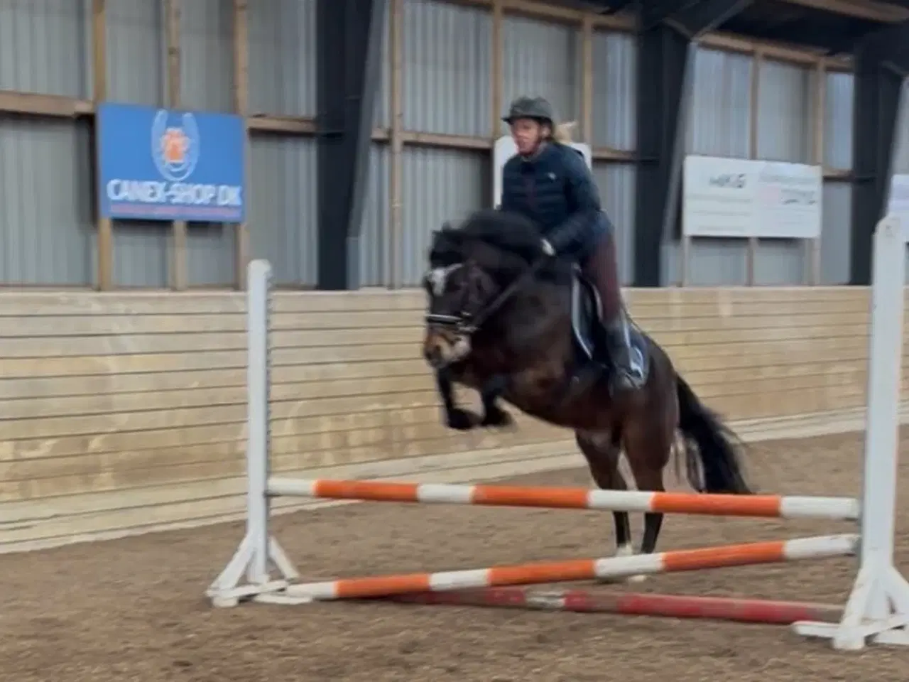 Billede 18 - Allround 2’er pony søger sin nye familie 