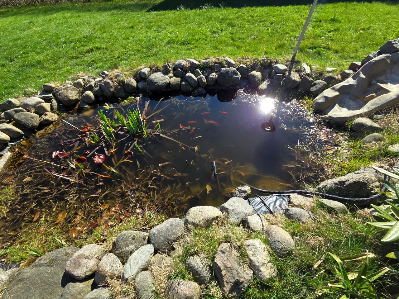 Billede 3 - Fiskedam