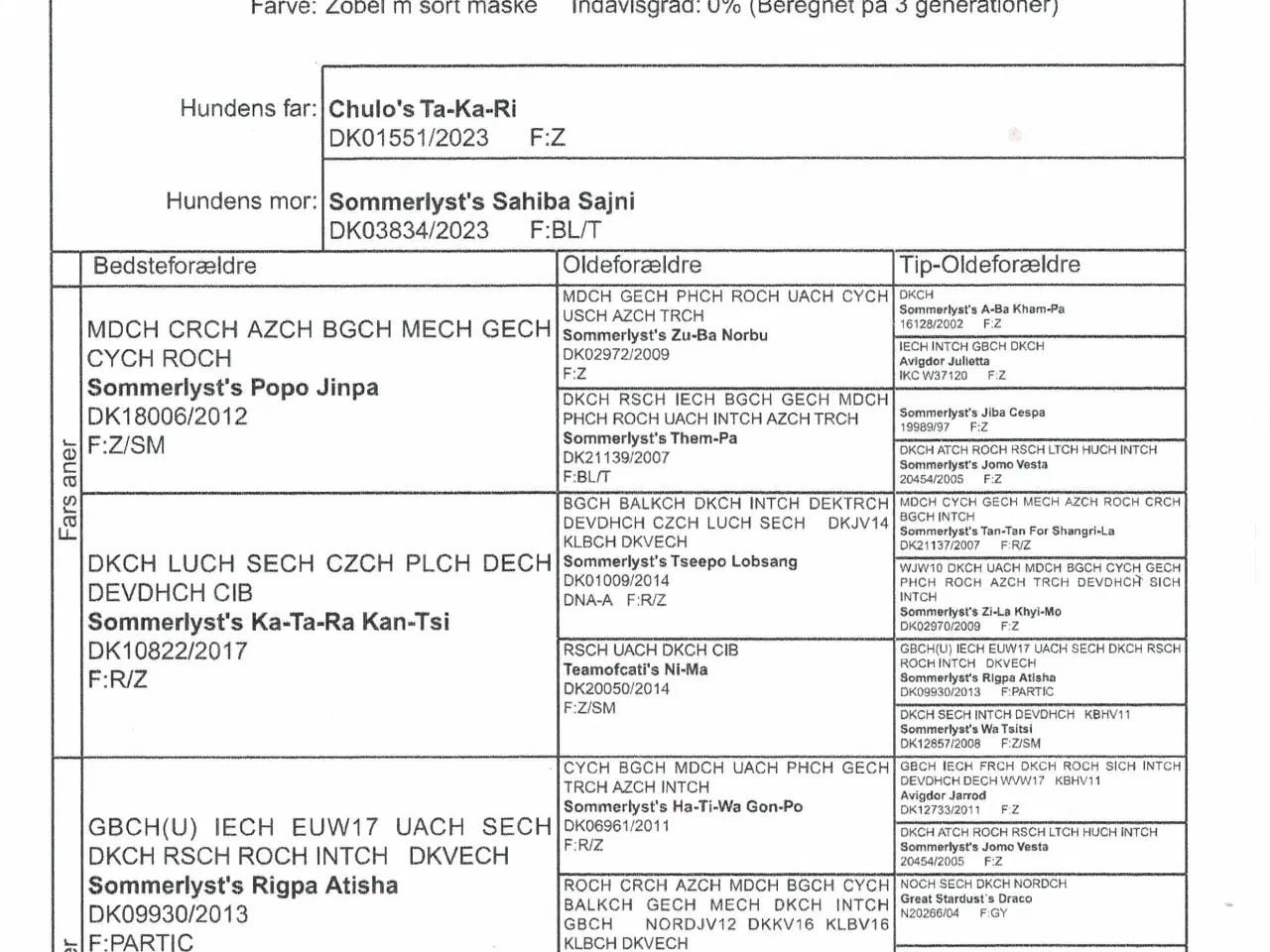 Billede 8 - Tibbe-hvalp, 9 uger