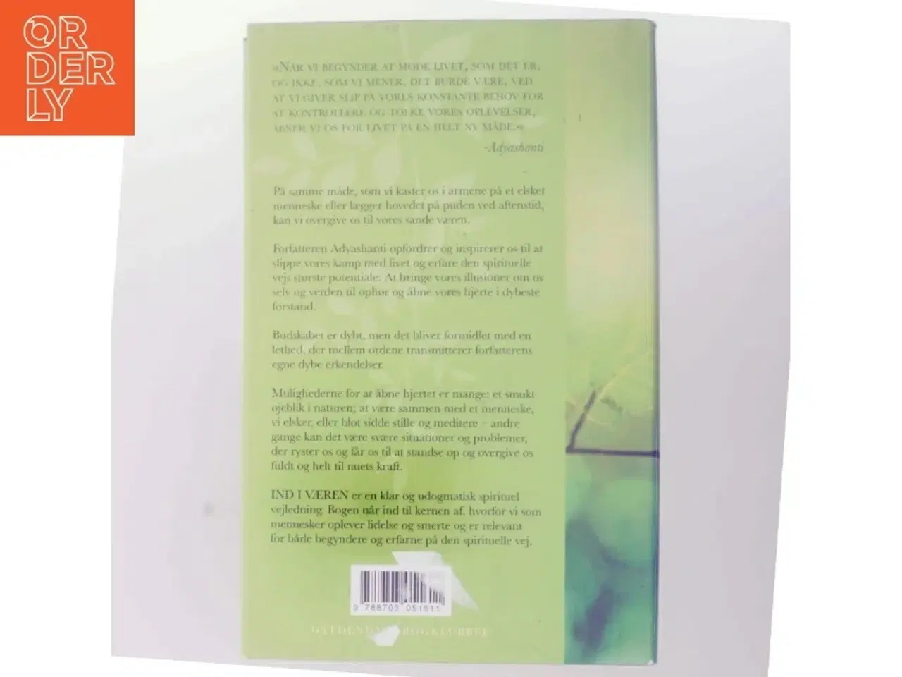 Billede 3 - Ind i væren : overgiv dig til din sande natur af Adyashanti (Bog)