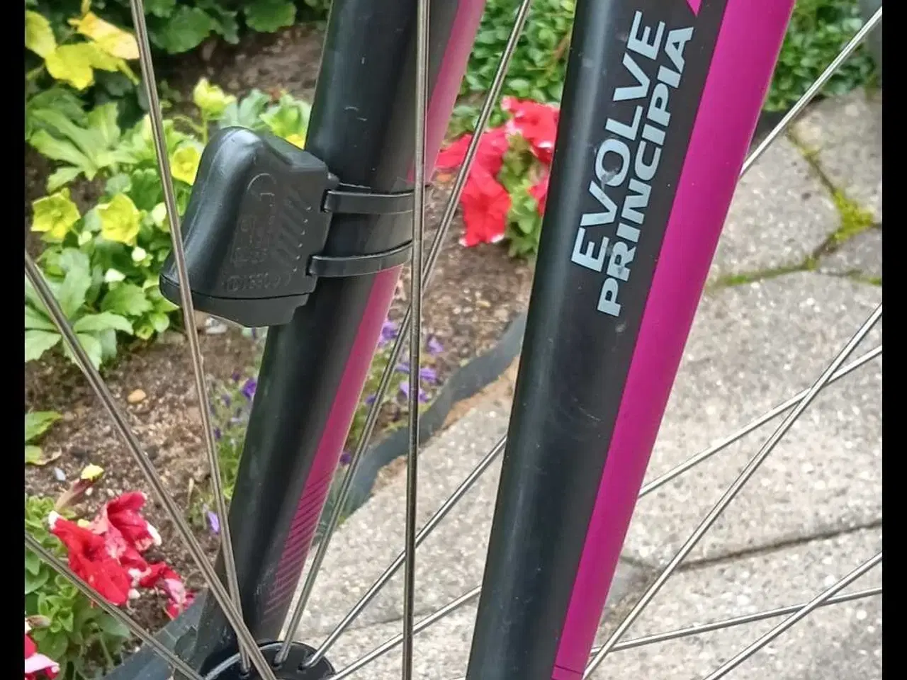 Billede 8 - Racercykel PRINCIPIA EVOLVE/ AURA A 6.3