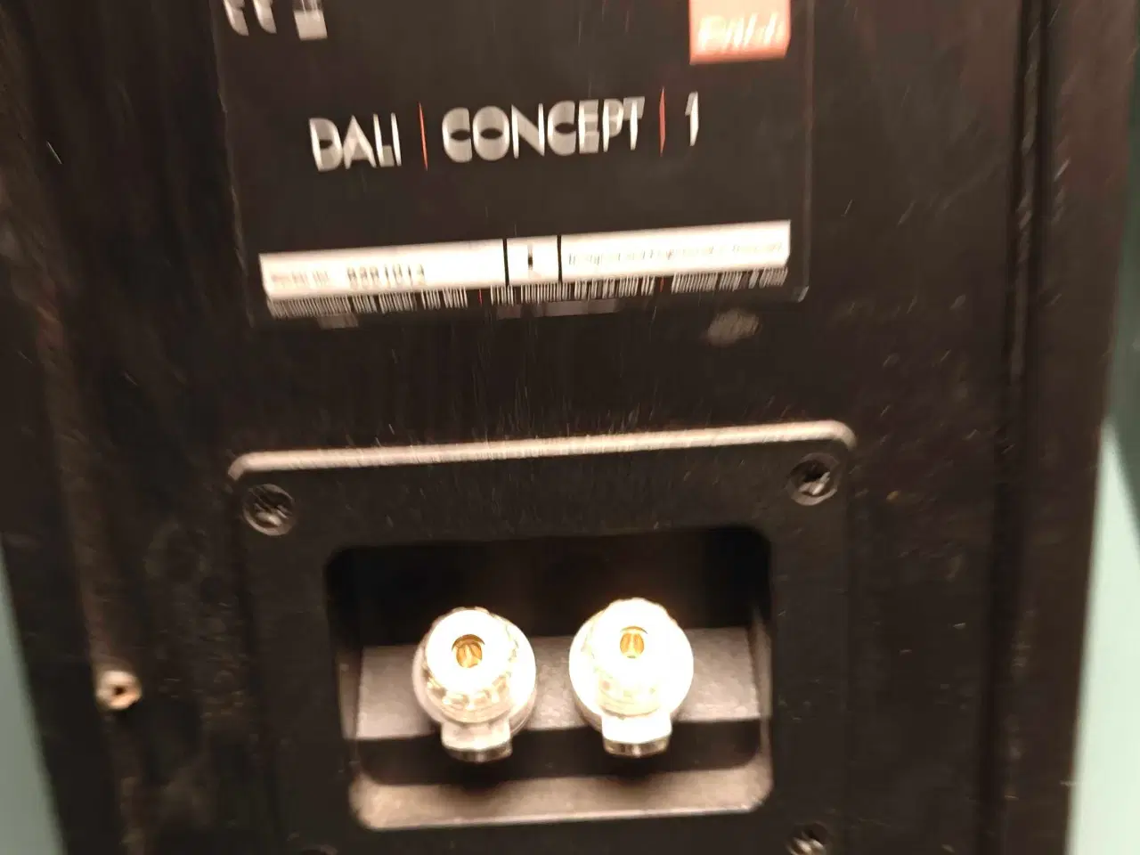 Billede 2 - Dali concept 1