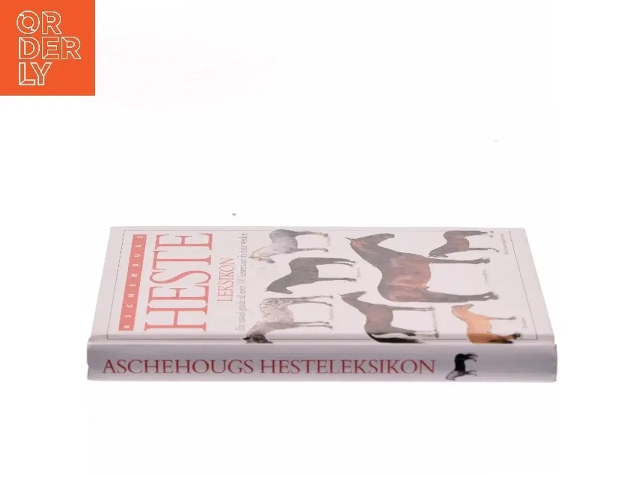 Billede 2 - hesteleksikon af <Bogforfattere er ikke angivet< (Bog)