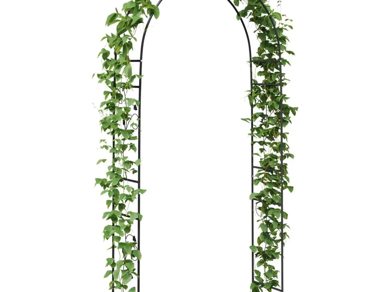 Billede 3 - Havebue Blomstret Sort