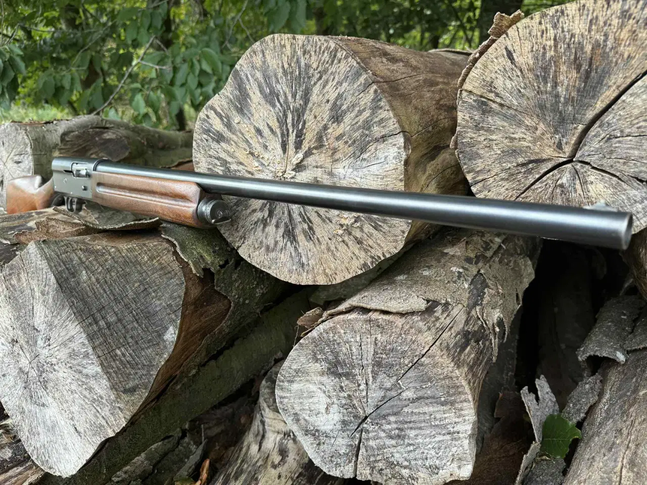 Billede 4 - Remington Model 11 