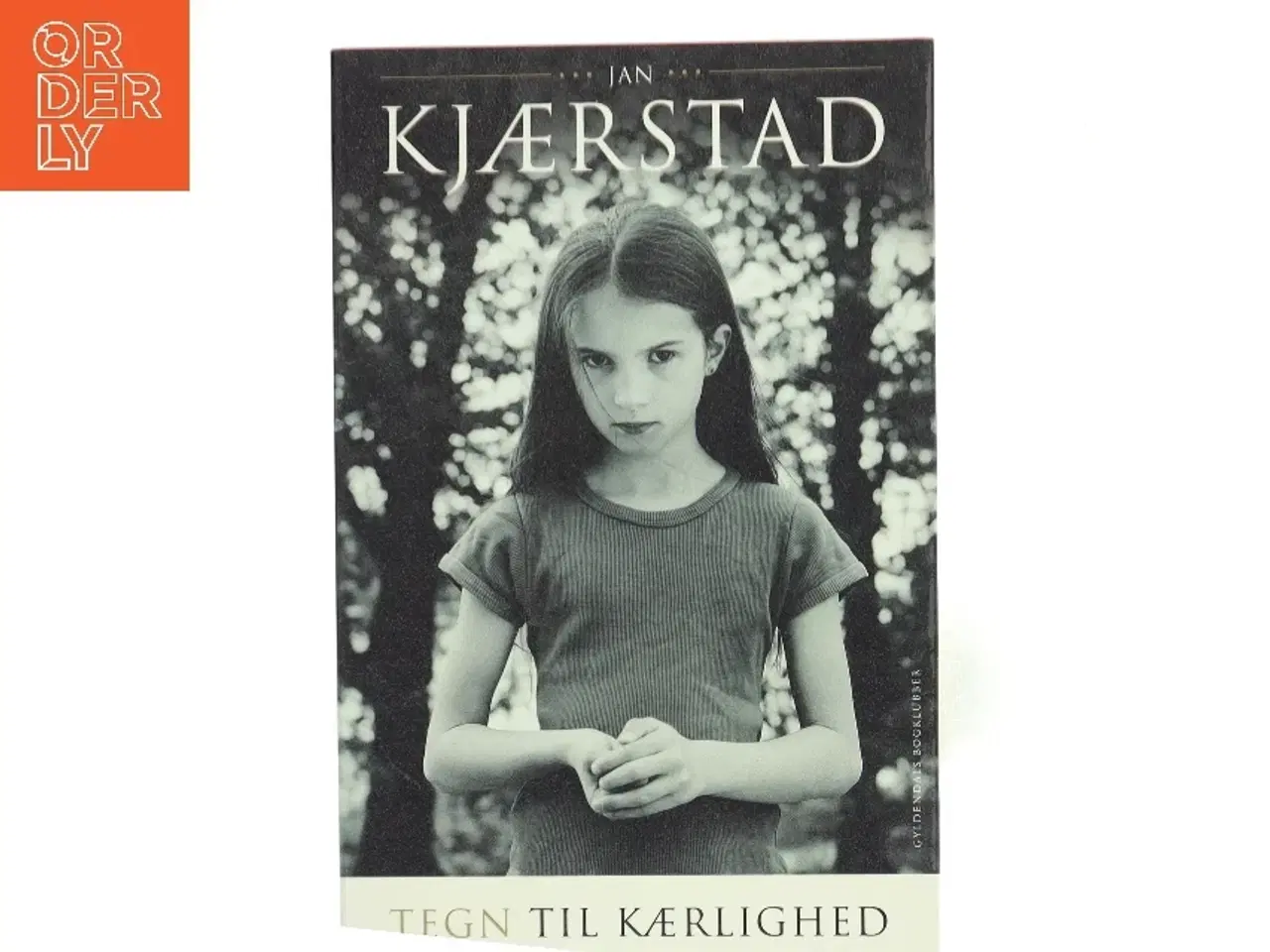 Billede 1 - Tegn til kærlighed : roman af Jan Kjærstad (Bog)