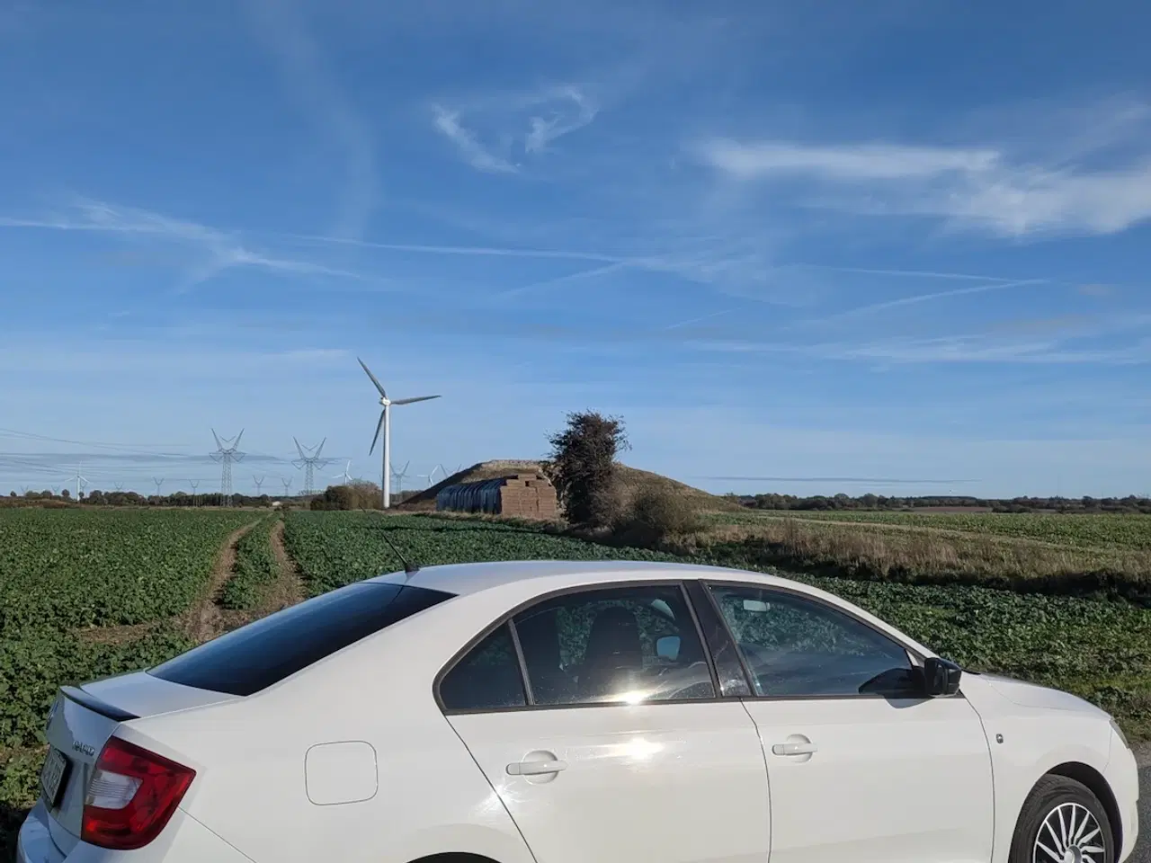 Billede 7 - NYSYNET! Skoda Rapid