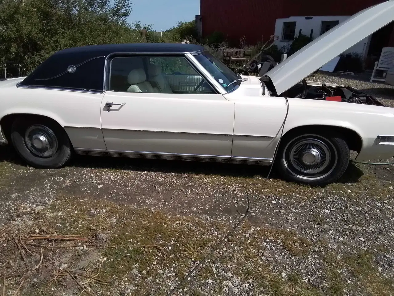 Billede 8 - Ford Thunderbird 1969