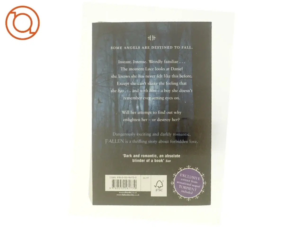 Billede 3 - Fallen af Lauren Kate (Bog)