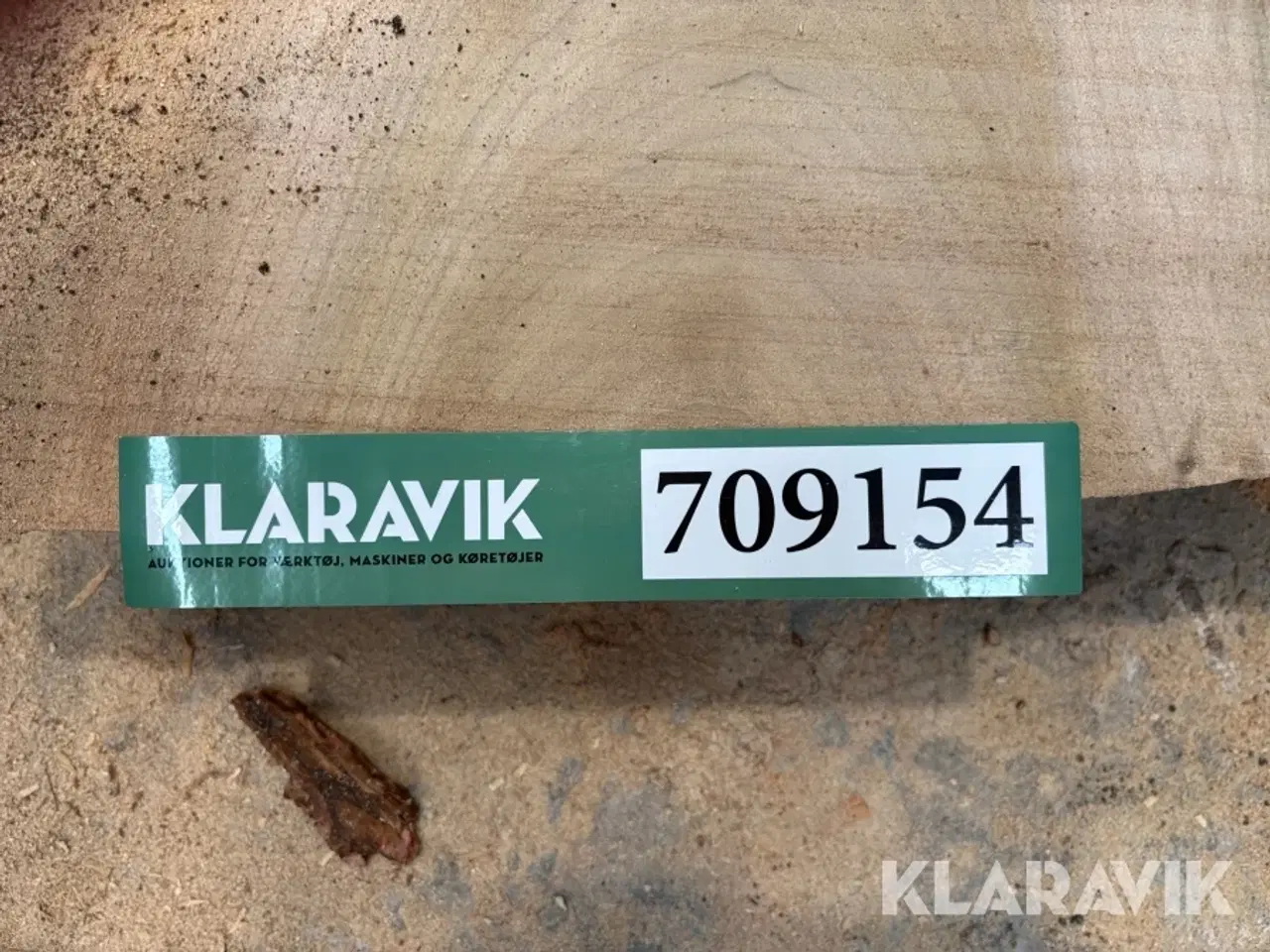 Billede 6 - Amerikansk tulipantræ 2 styk