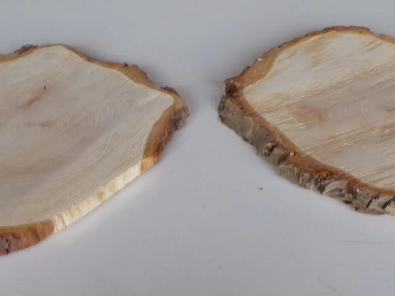 Billede 2 - Nye thuja træskiver 28 - 29,5 cm