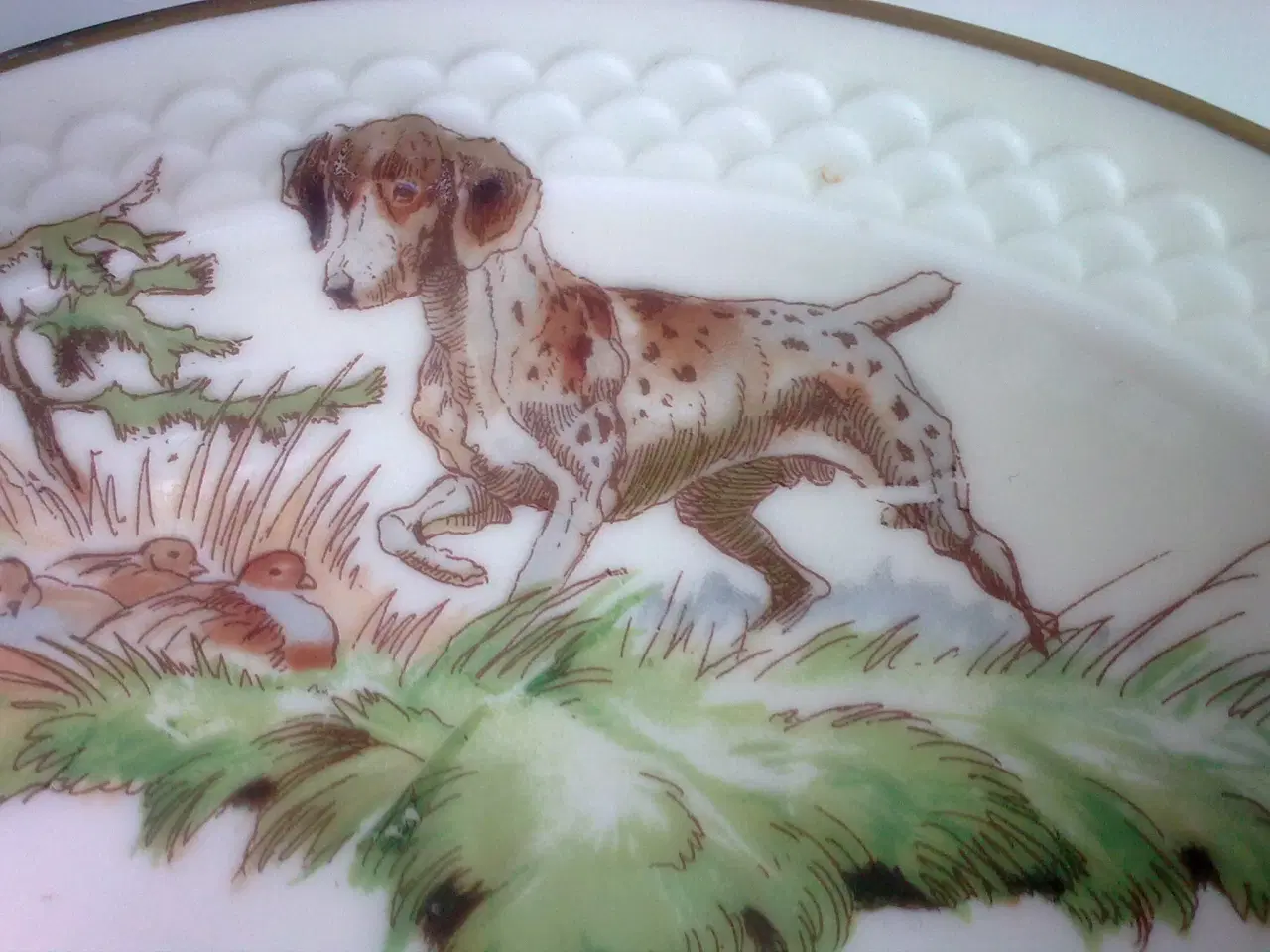 Billede 2 - Hundeskål i eller vagthund ved siden & hund TEMA