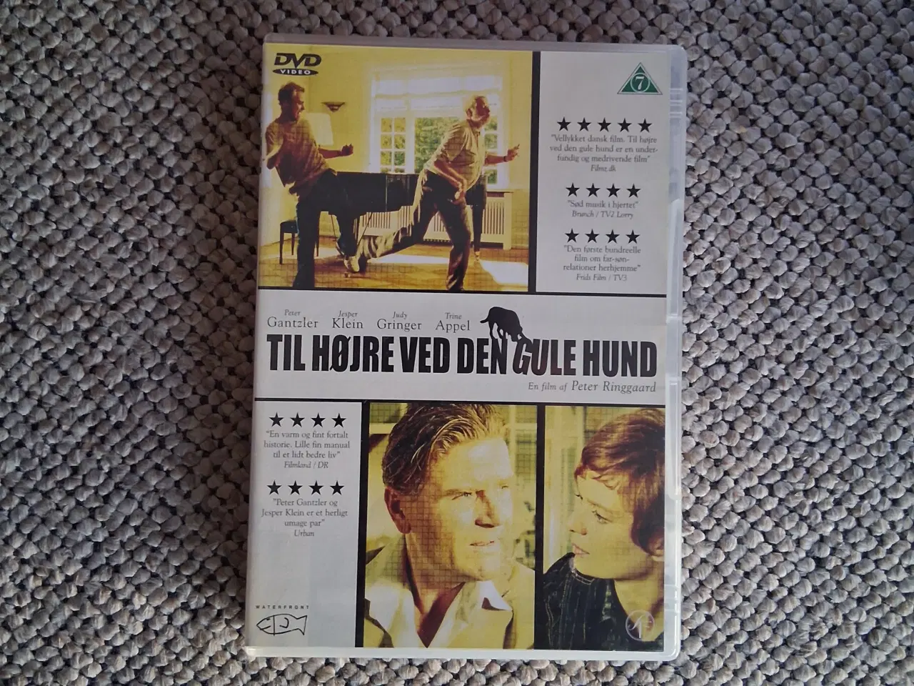 Billede 1 - Til højre ved den gule hund