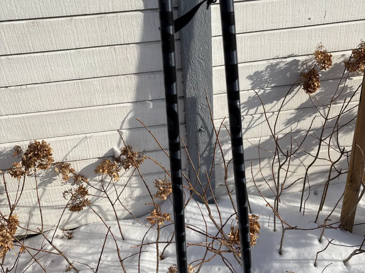 Billede 3 - Salomon skistave 125 cm