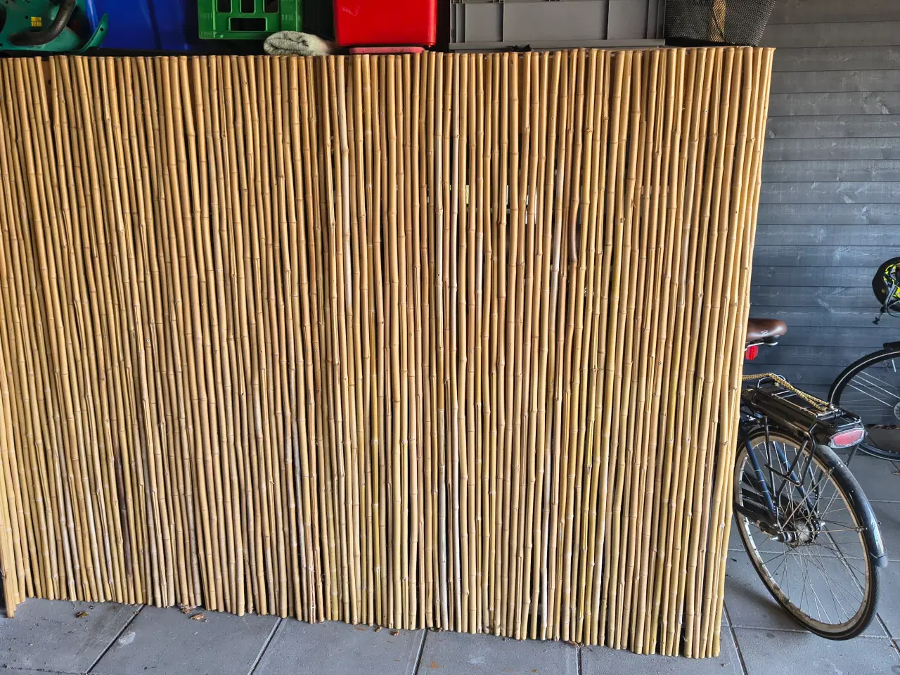 Billede 1 - Bambus hegn