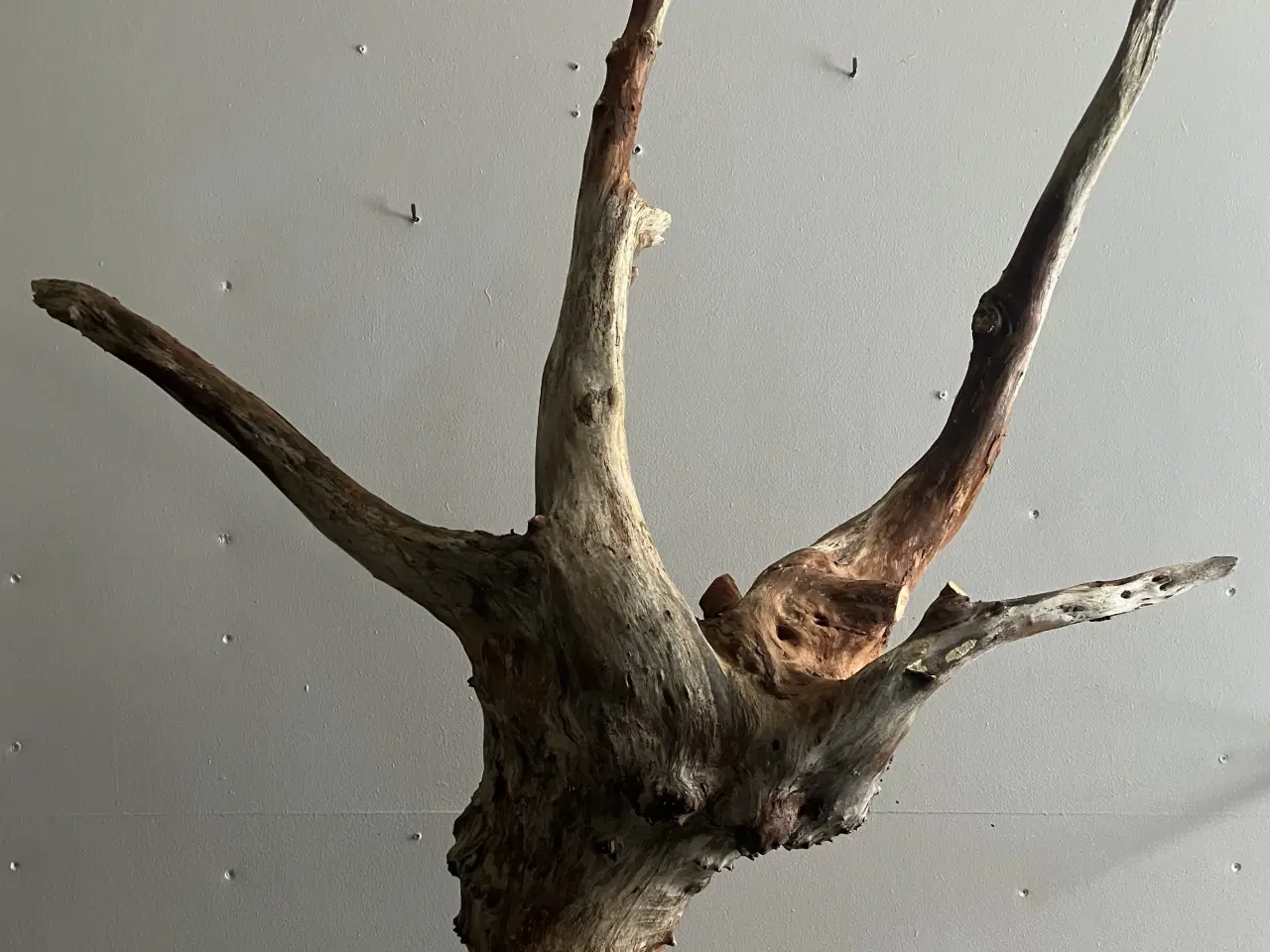 Billede 4 - Dekorativ Træ Skulptur 