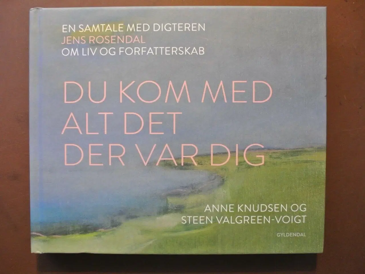 Billede 1 - du kom med alt det der var dig - en samtale med di