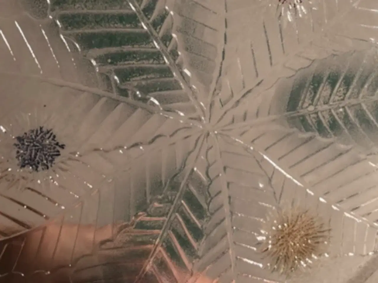 Billede 2 - Franske kage ,dessert tallerkner 