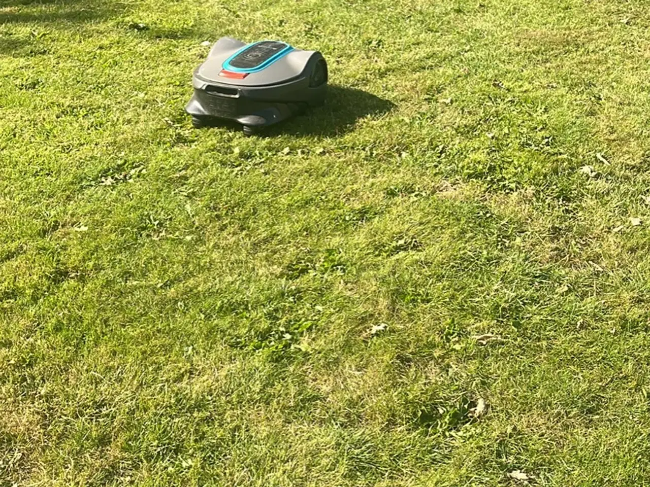 Billede 3 - Gardena Robot Plæneklipper