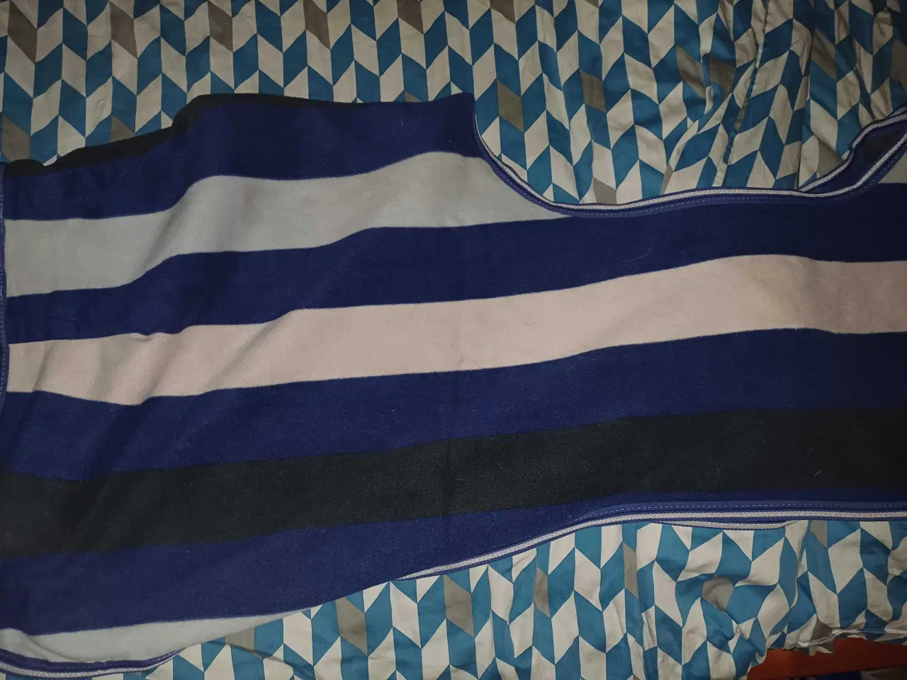 Billede 2 - Salg af diverse rideudstyr 