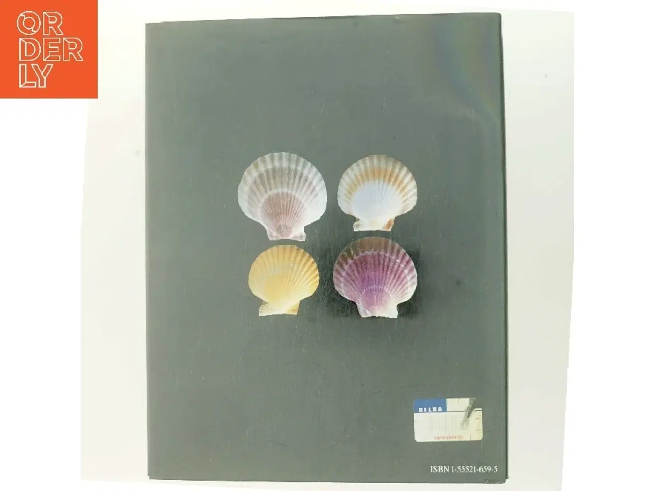 Billede 3 - The Collector's Encyclopedia of Shells af S. Peter Dance (Bog)