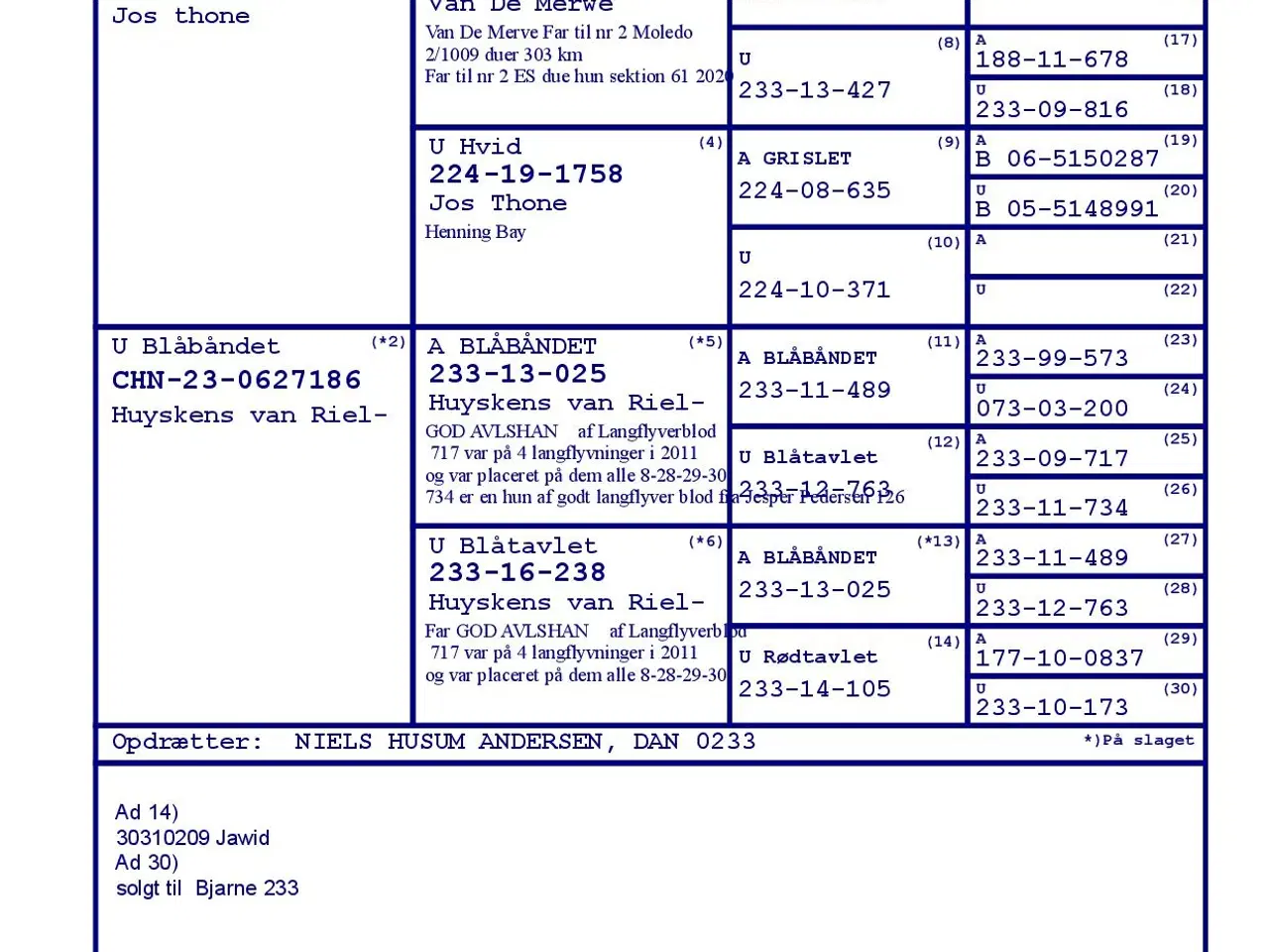 Billede 8 - Brevduer unger 4 