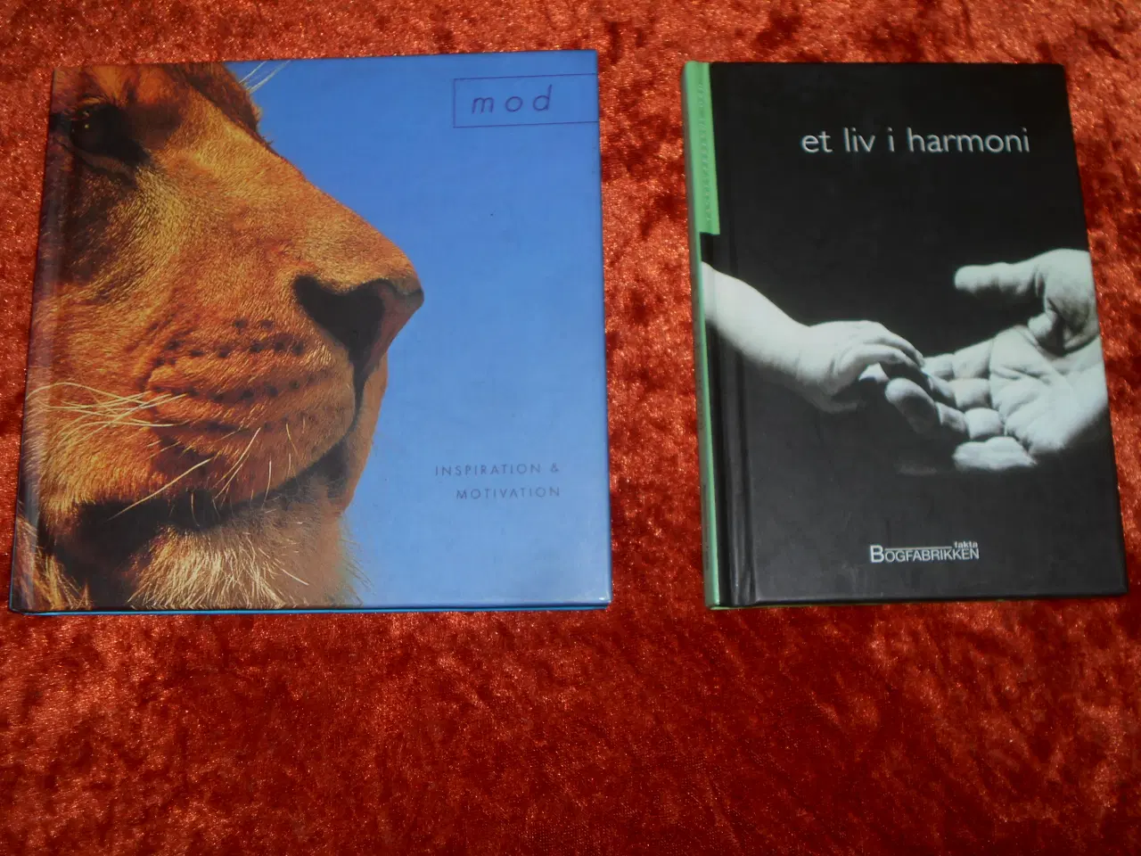 Billede 1 - Mod, Inspiration & Motivation m.fl,