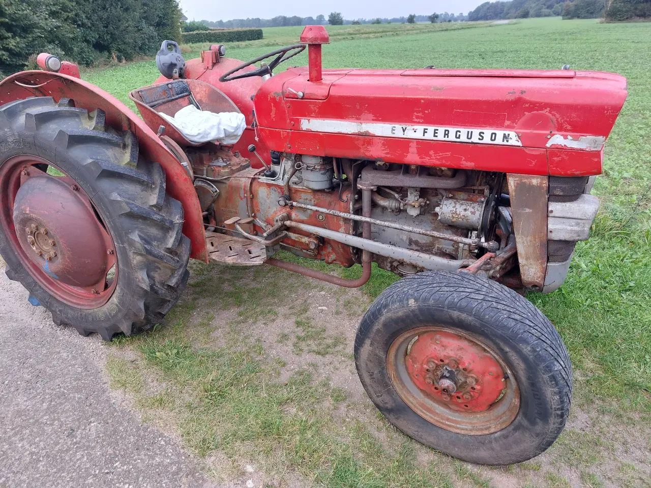 Billede 4 - Massey ferguson 135 benzin