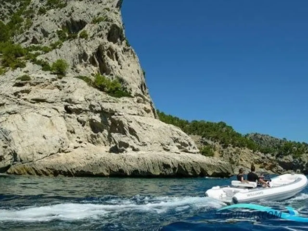 Billede 3 - Williams 520 Sportjet