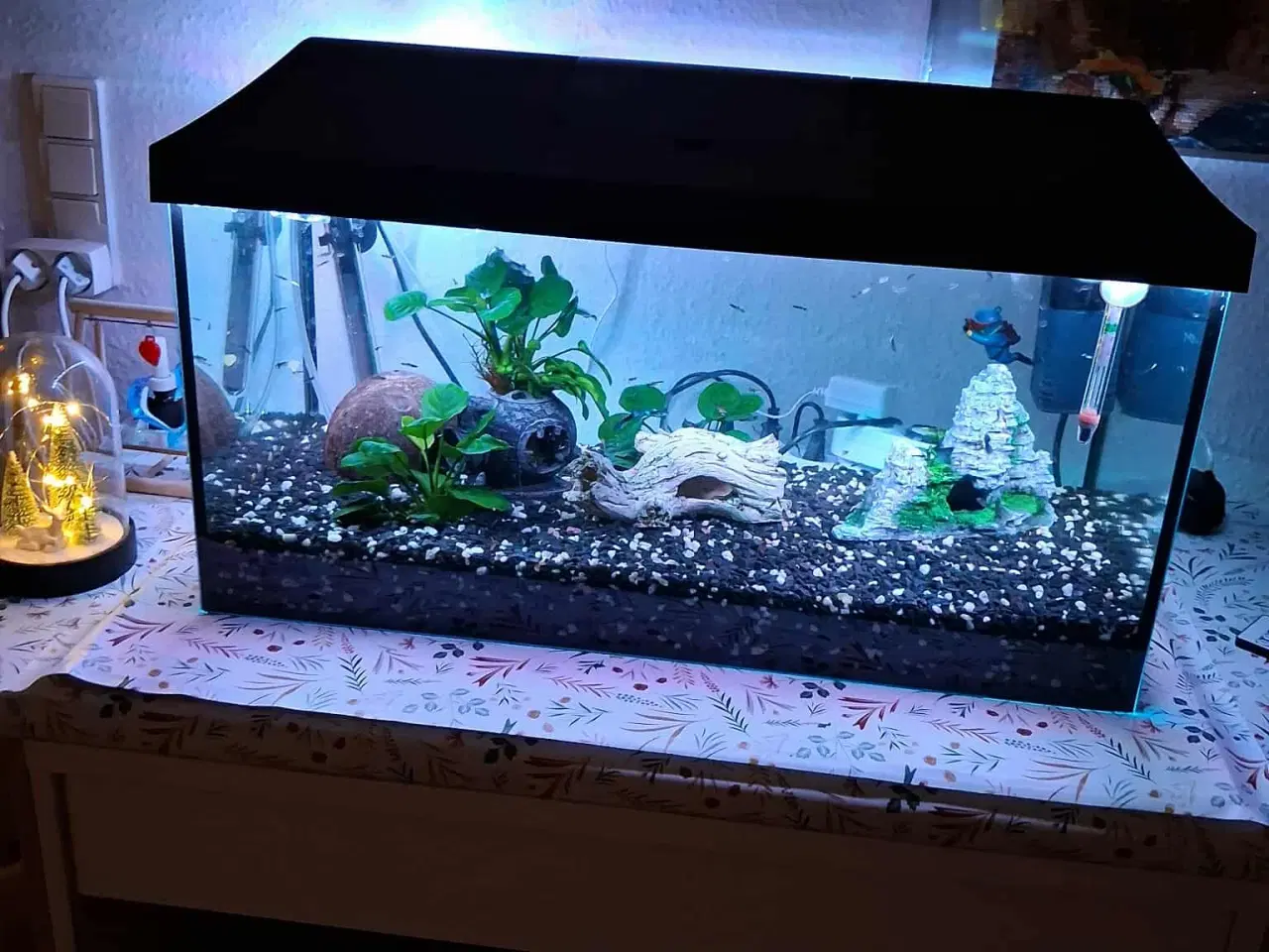 Billede 4 - akvarier med fisk