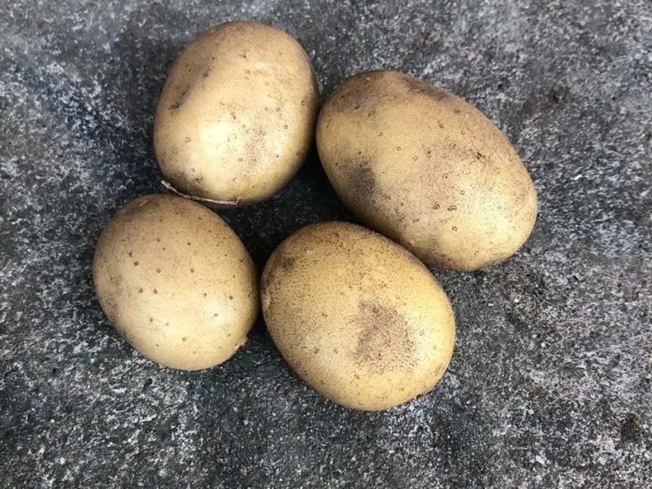 Billede 2 - Kartofler, flere sorter