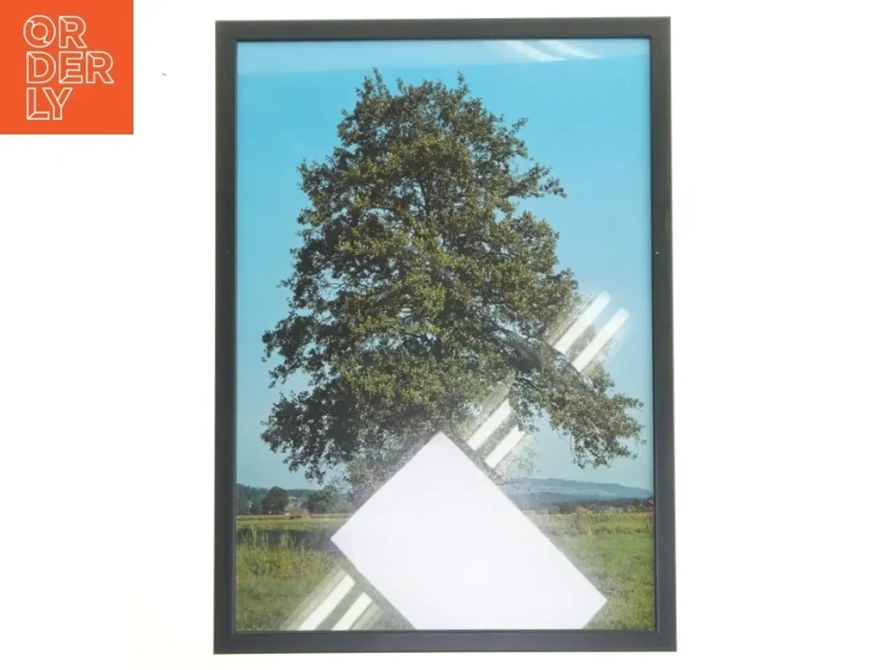 Billede 1 - Plakat med ramme fra Posterland (str. 30x42 cm)