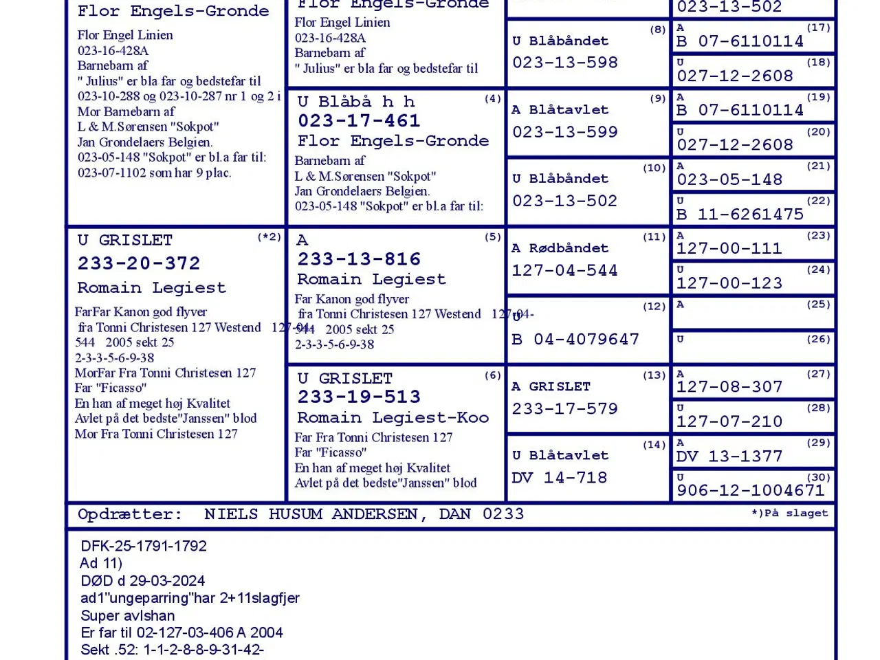 Billede 4 - Brevduer unger 2026