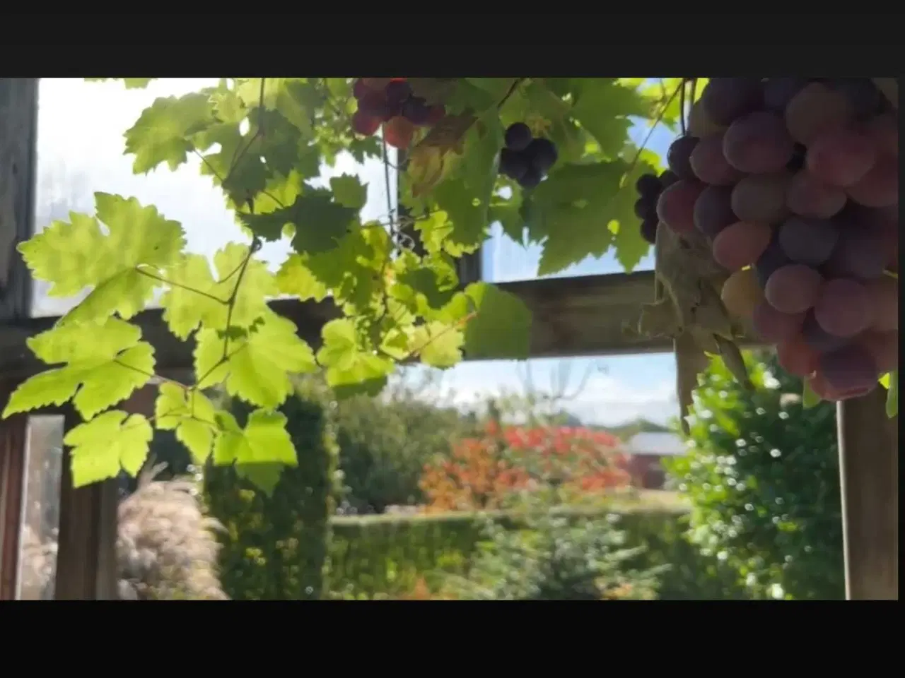 Billede 3 - Murermester villa sælges i Skjolborg,  6km syd f