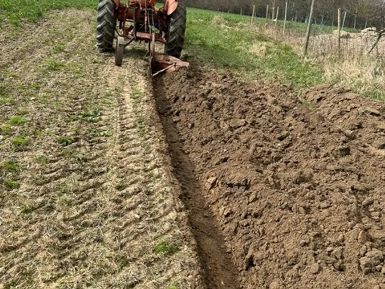 Billede 2 - Allis Chalmers