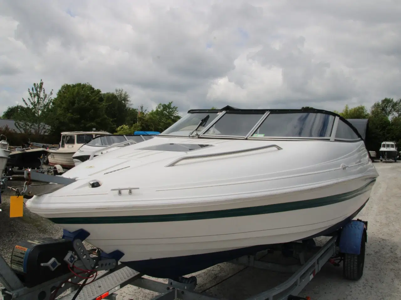 Billede 4 - Campion 565 SC Allante