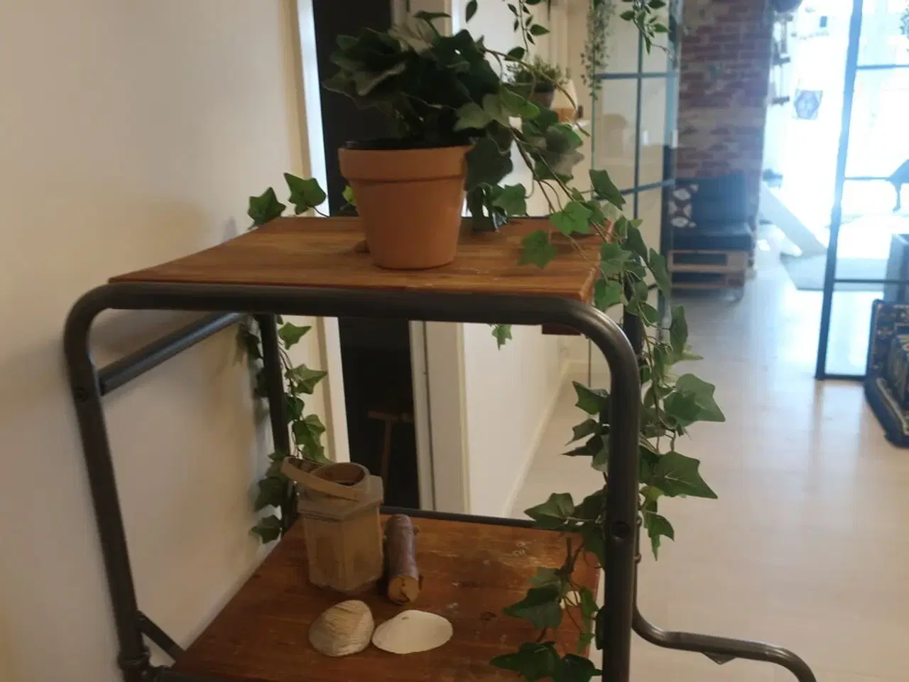 Billede 5 - Reol med indhold / hylder med indhold / plante m.m.