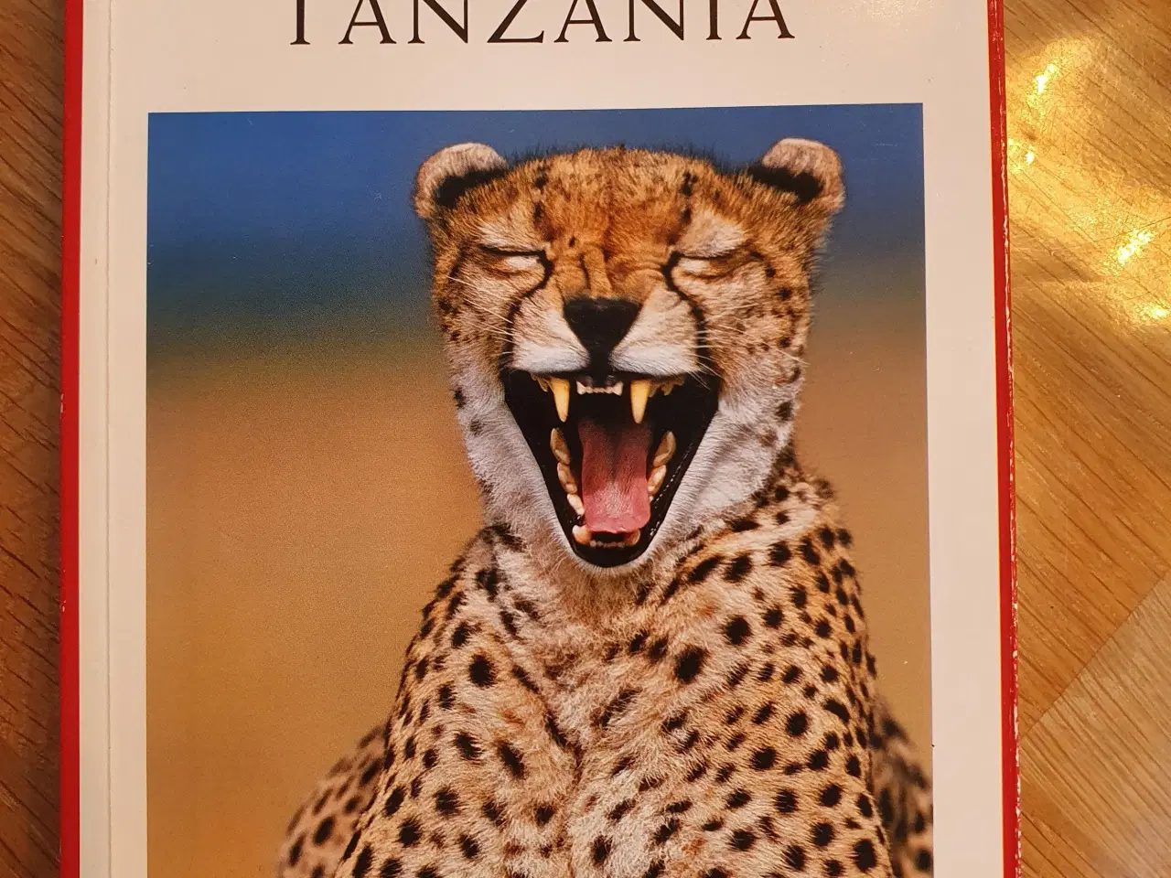 Billede 1 - Turen går til Kenya og Tanzania 